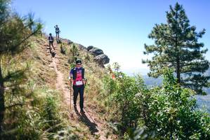 BIB: 
                            <button type="button" onclick="openModal(26605420)" class="btn btn-primary btn-sm float-right btn-popup" data-toggle="modal" data-target=".modal-high-quality">
                        <i class="fas fa-shopping-cart"></i> Add to Cart
                    </button>
                                            <button type="button" onclick="isThisMe(26605420, true)" class="btn btn-success btn-sm float-right btn-popup btn-isme hidden" data-toggle="tooltip" data-placement="bottom" title="นี่คือรูปของคุณใช่ไหม คลิกที่นี่เพื่อเอาเข้าอัลบั้ม">
                        <i class="fas fa-plus"></i> Add to album
                    </button>
                    <button type="button" onclick="isThisMe(26605420, false)" class="btn btn-warning btn-sm float-right btn-popup btn-isnotme hidden">
                        <i class="fas fa-ban"></i> Remove from album
                    </button>